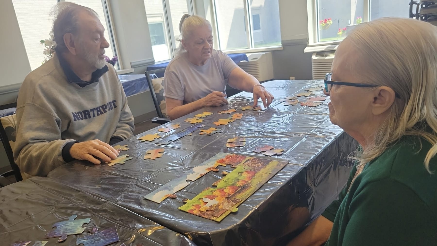Jigsaw puzzles